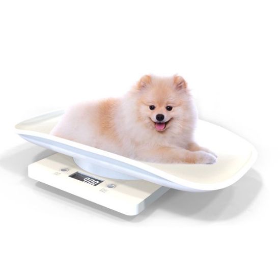 Picture of Digital Pet Scale