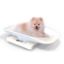 Picture of Digital Pet Scale